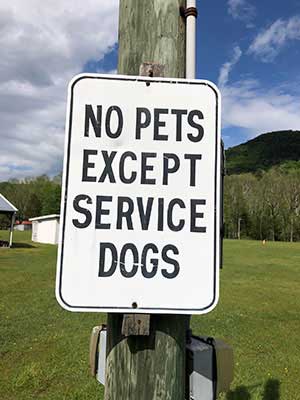 No Pets at the Bergton Fair