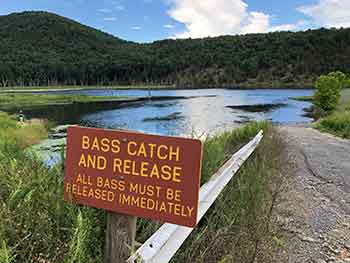 Catch and Release at Kimsey Run Lake