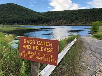 Kimsey Run Lake Fishing Guide Map by WV Division of Natural Resources