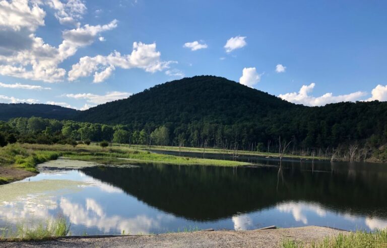 Kimsey Run Lake