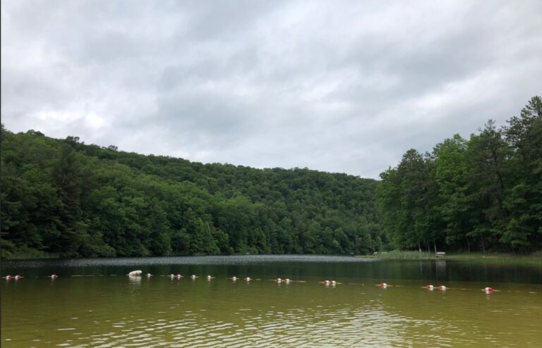 Trout Pond WV