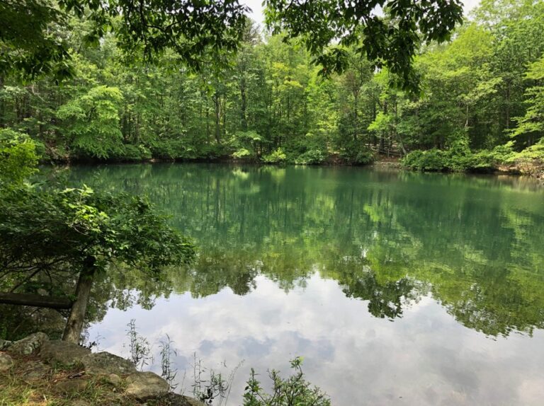Old Real Trout Pond Running Full